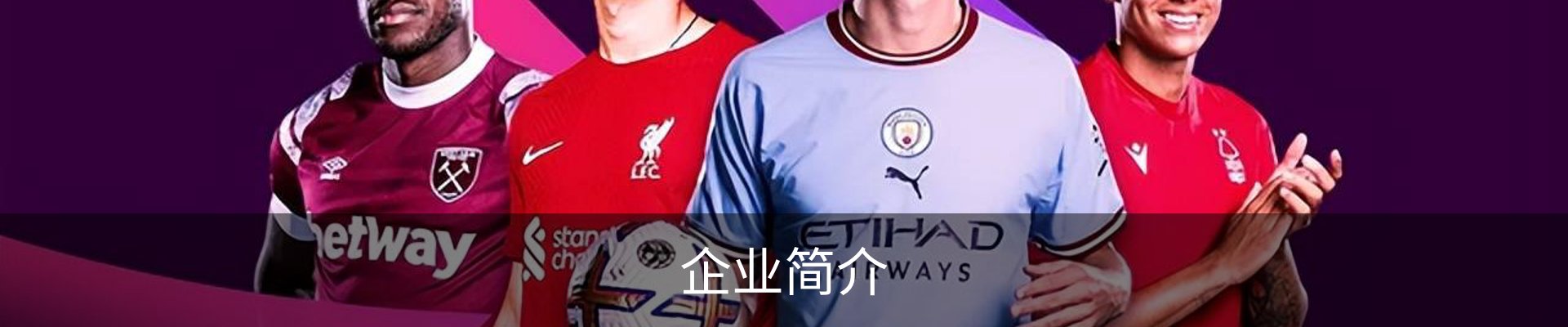 企业简介