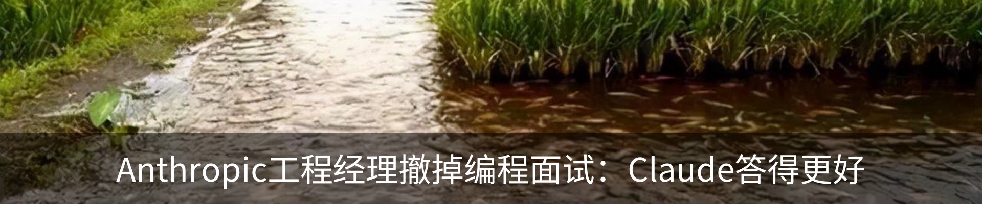 行业资讯